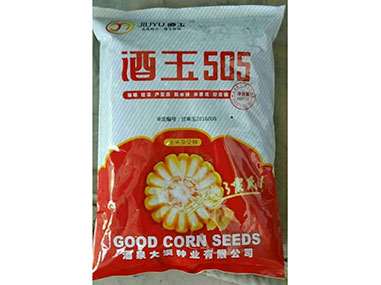 太阳GG【505】玉米杂交种