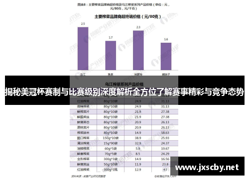 揭秘美冠杯赛制与比赛级别深度解析全方位了解赛事精彩与竞争态势